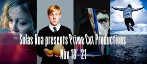 Review: PRIME CUT FESTIVAL at Solas Nua Image
