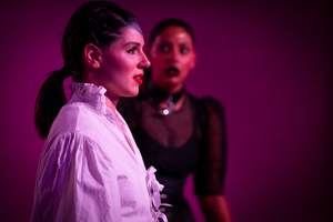 BWW Review: HAMLET IN THE OTHER ROOM at Rumpus, 100 Sixth Street, Bowden 