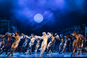 Jellicle CATS Come to Saenger Theatre Next Week Image