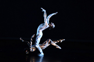 Review: The Luminous and Exhilarating Luminario Ballet  Presents HARD AS A ROCK at Avalon Hollywood 