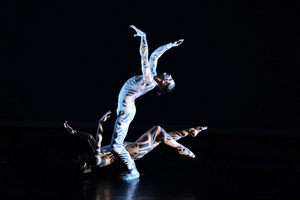 Review: The Luminous and Exhilarating Luminario Ballet Presents HARD AS A ROCK at Avalon Hollywood Image