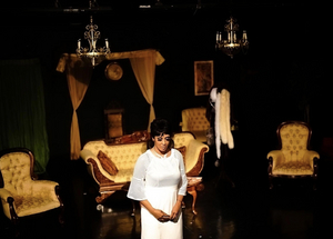 BWW Review: THE LAST NIGHT OF JOSEPHINE BAKER from Vincent Victoria Presents 