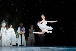 BWW Review: THE NUTCRACKER is a Prancing Good Time at Houston Ballet 