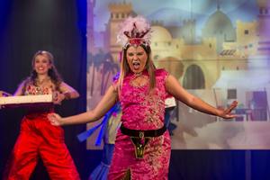 Guildford Fringe Theatre Company's ALADDIN ONE RUB TOO MANY Will Be Available Online On Demand  Image