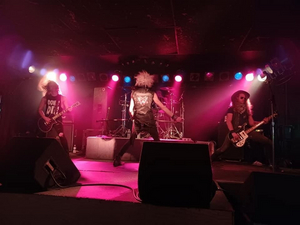 Wildstreet Announces New Guitar Player Image