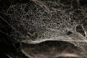 The Shed to Present TOMÁS SARACENO: PARTICULAR MATTER(S) 