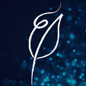 Garden Theatre to Begin Search for New Leader Image