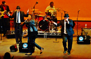 Blooze Brothers to Return to Raue Center For The Arts Image