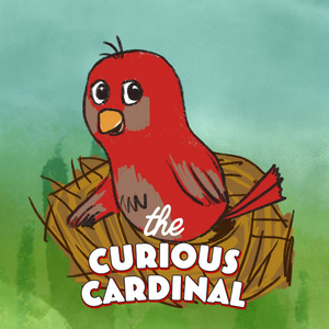 Alliance Releases THE CURIOUS CARDINAL Short Film Image