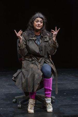 Review Roundup: Cecily Strong Stars in THE SEARCH FOR SIGNS OF INTELLIGENT LIFE IN THE UNIVERSE at The Shed Image