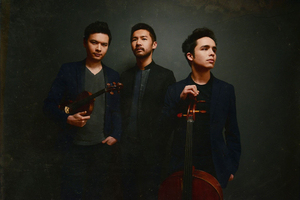 Shriver Hall Concert Series to Present Junction Trio Image