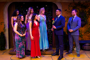BWW Review: BACHELOR: THE UNAUTHORIZED PARODY MUSICAL at Apollo Theater 