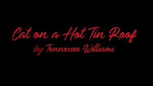 Virginia Stage Company Postpones CAT ON A HOT TIN ROOF Image