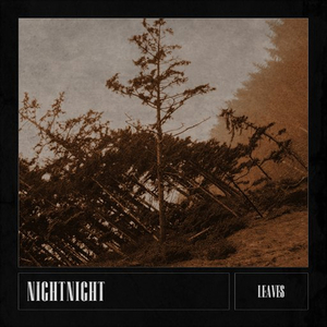 NightNight Releases New Single 'Leaves' Image
