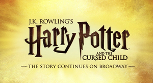 James Snyder's Contract Terminated at CURSED CHILD Following Misconduct Investigation Image