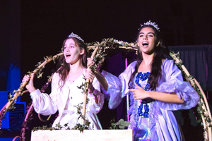 Review: CINDERELLA at Rise Above Performing Arts Showcases Talent and Imagination Image
