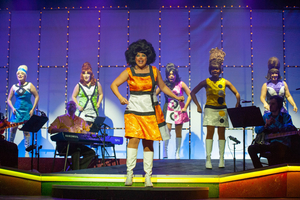 Review: BEEHIVE at Dutch Apple Dinner Theatre Image