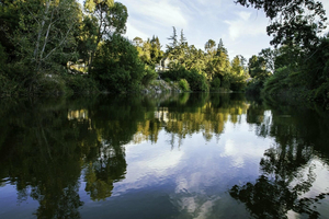 Napa Valley Museum Yountville Announces 'Living Napa River' Exhibit and Call to the Community  Image