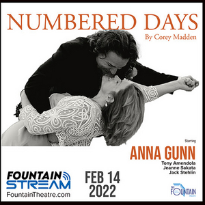 Emmy-Winner Anna Gunn Stars In 4-Episode Podcast NUMBERED DAYS A Moving, True Love Story 