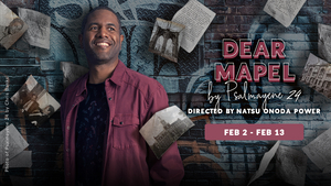 Review:  Mosaic Theatre's DEAR MAPEL A Compelling, Personal Journey 