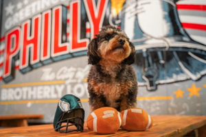 1ST PHILADELPHIA BARK BOWL by Craft Hall and Pennsylvania SPCA on Saturday 2/12 Image