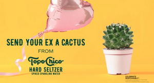 TOPO CHICO HARD SELTZER Helps You Tell Your Ex Your Feelings This Valentine's Day 