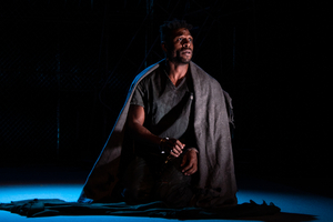 Review: FIDELIO at the Met – Not THE MET – Proves Beethoven's Only Opera Is No Museum Piece 