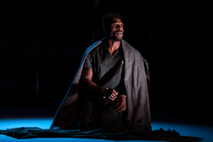 Review: FIDELIO at the Met – Not THE MET – Proves Beethoven's Only Opera Is No Museum Piece Image
