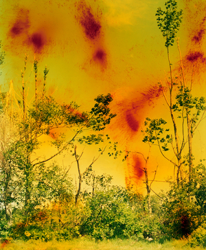 MoMA To Present New York's First Comprehensive Museum Survey Of Wolfgang Tillmans Image