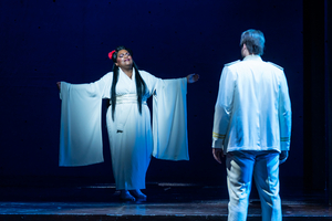 Review: The Dallas Opera's MADAME BUTTERFLY Stirs Hearts and Minds at Winspear Opera House 