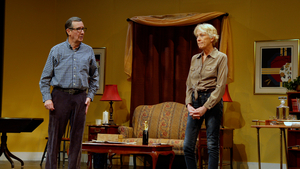 Review: A TREE FALLS IN BROOKLINE at The Community Players Image