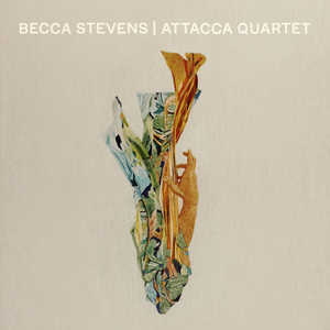 Becca Stevens & Attacca Quartet Announce Collaborative Album 