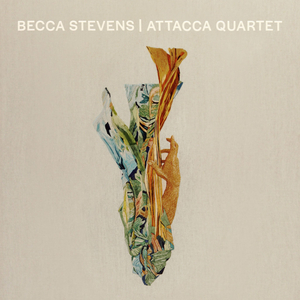 Becca Stevens & Attacca Quartet Announce Collaborative Album Image
