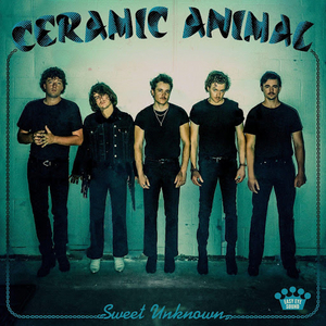 Ceramic Animal Release New Album 'Sweet Unknown'  Image