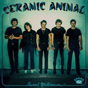 Ceramic Animal Release New Album 'Sweet Unknown' Image
