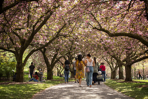 Brooklyn Botanic Garden Announces 2022 Programming 