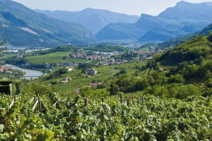 Discover TRENTODOC  Classic Sparkling Wines from Italy Image