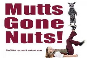 MUTTS GONE NUTS! Returns to the State Theatre Next Weekend  Image