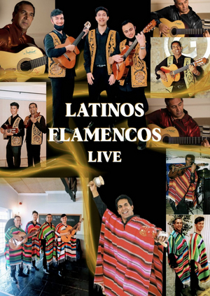 LATINOS FLAMENCOS LIVE Comes to The Drama Factory Image