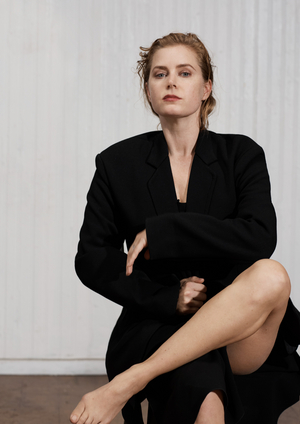 More Tickets Released For THE GLASS MENAGERIE Starring Amy Adams Image