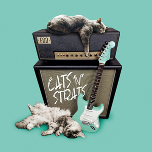 FS3 Trio Featuring Austrian Guitarist Joe Doblhofer Releases Debut Album 'Cats 'n' Strats' 