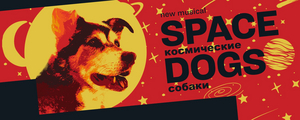 SPACE DOGS Records Final Two Performances Image