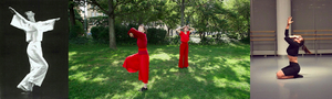 Beth Soll & Company to Present EARTHLY DANCES IN TROUBLED TIMES Image