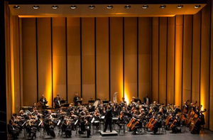 Chicago Philharmonic Awarded $75,000 Grant 
