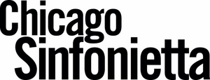 Chicago Sinfonietta's CEO Blake-Anthony Johnson Furthers Cultural Work In Chicago With New Role 