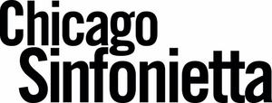 Chicago Sinfonietta's CEO Blake-Anthony Johnson Furthers Cultural Work In Chicago With New Role Image
