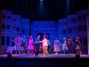 Review: Hairspray is a Dynamite Hit at The Woodlawn Theatre 