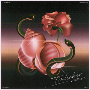 Tinlicker Remix Dom Dolla & Mansionair's 'Strangers' Image
