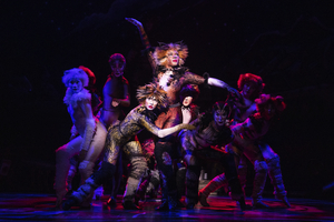 Review: Why I'm Not Crazy About CATS at Dr. Phillips Center Image