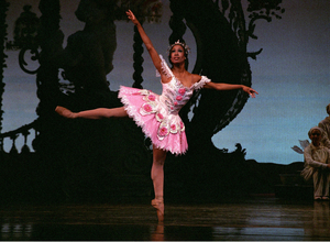 Houston Ballet Announces Lauren Anderson Young Dancer Scholarship Fund Image